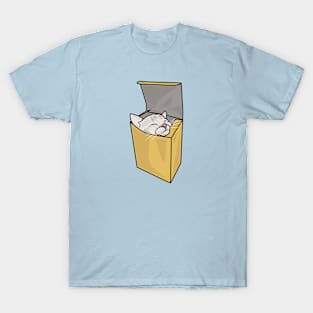 Cat in the box T-Shirt